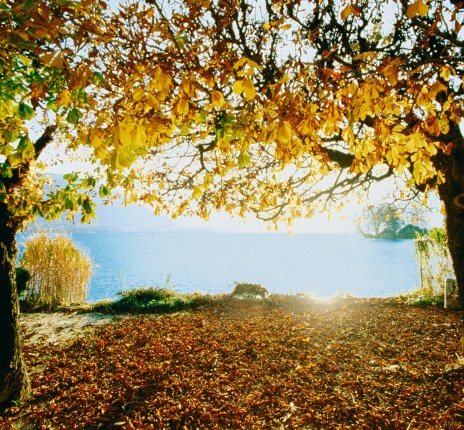 Herbst am See in Kärnten © Kärnten Werbung