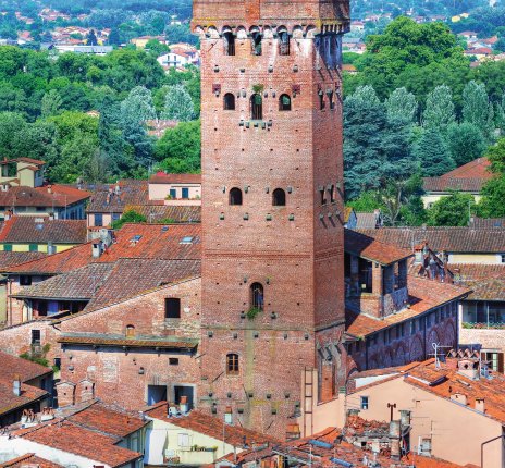 Torre Guinigi in Lucca © maudanros-fotolia.com