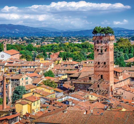 Blick über Lucca - Torre Guinigi © Martin M303-fotolia.com