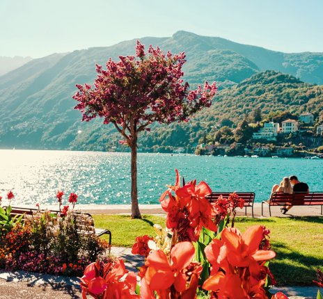 Am Ufer des Lago Maggiore in Ascona © Roman Babakin - stock.adobe.com