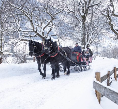 Pferdeschlittenfahrt in verträumter Winterlandschaft in Rauris © Tourismusverband Rauris/Florian Bachmeier 