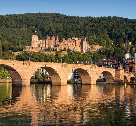 Neckarbrücke und Stadtpanorama mit Schloss © eyetronic-fotolia.com