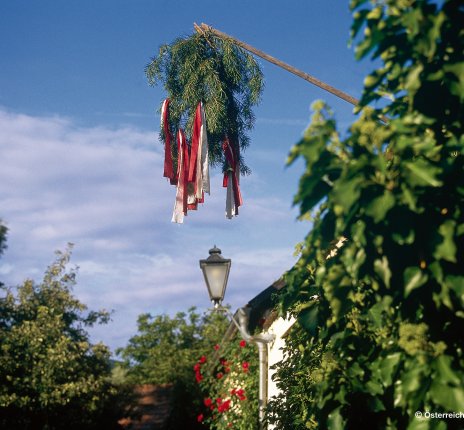Heurigenbusch in Grinzing © Österreich Werbung/Diejun