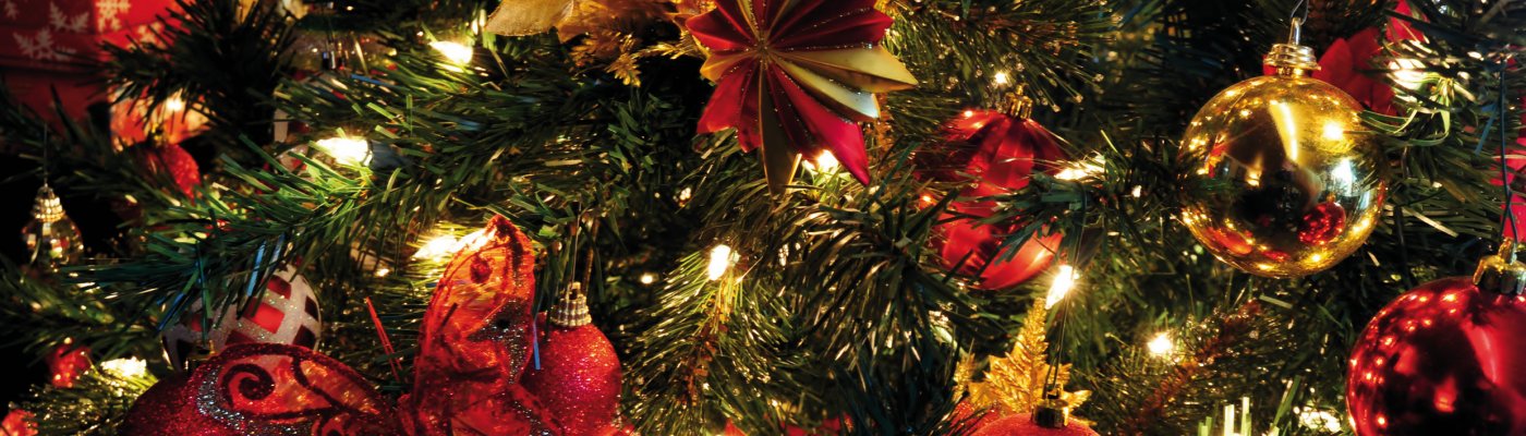 Weihnachtsreisen ab Ingolstadt Weihnachtsbaum