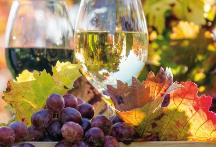 Weinprobe in der Steiermark © doris oberfrank-list-fotolia.com