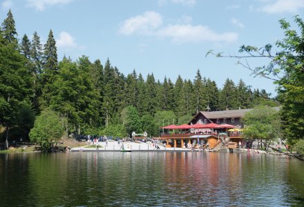 Großer Arbersee © Fotolyse-fotolia.com