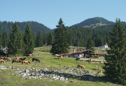 Winklmoosalm &copy; Tourist-Info Reit im Winkl