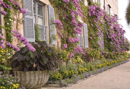 Isola Madre Lago Maggiore © Monica Cavalletti-fotolia.com