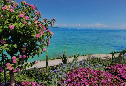 Insel Mainau © Susanne - fotolia.com