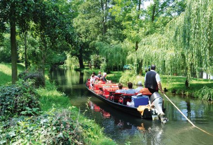 Kahnfahrt im Spreewald © Henry Czauderna - stock.adobe.com