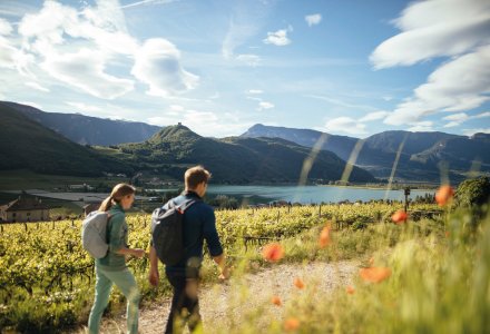Wandern am Kalterer See © IDM Südtirol/BENJAMIN PFITSCHER
