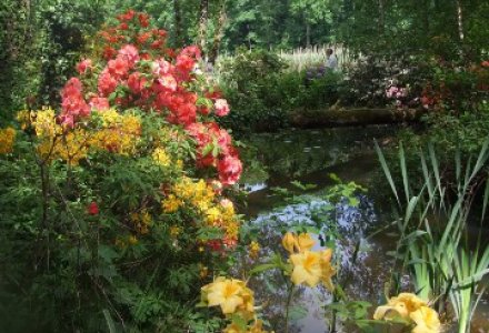 Schloss Dennenlohe Blüte -  ©  Schloss Dennenlohe