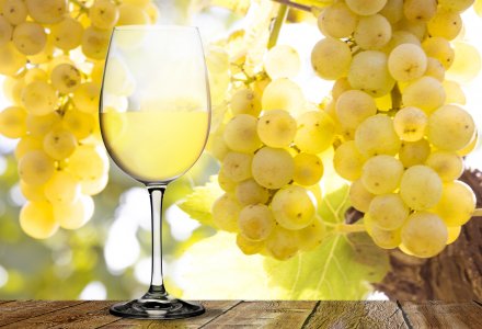 Weißwein mit Trauben © by-studio - stock.adobe.com