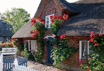 Friesenhaus auf Föhr © Foehr Tourismus GmbH/ Folker Winkelmann