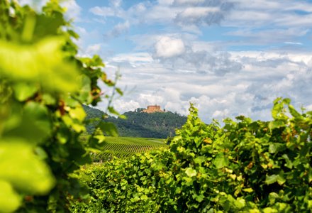 Hambacher Schloss © Marcel - stock.adobe.com
