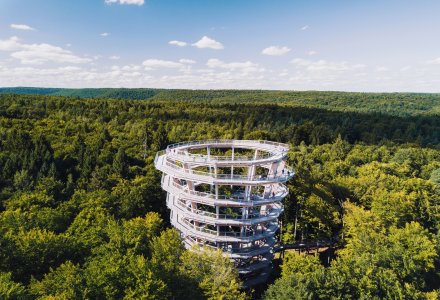 Baumwipfelpfad Steigerwald © FrankenTourismus/Thomas Glomm