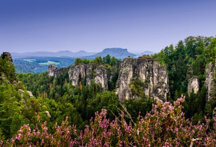 Landschaft im Elbsandsteingebirge © makasana photo - stock.adobe.com