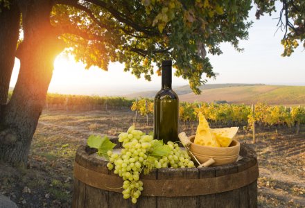 Weinprobe in der Toskana © kishivan - stock.adobe.com