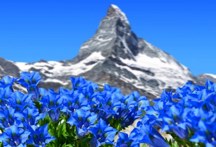Matterhorn © vencav - stock.adobe.com
