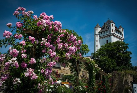 Burg Eltville © Fotoarchiv Magistrat der Stadt Eltville am Rhein