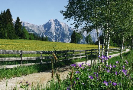 Sommerlandschaft Leutasch © Olympiaregion Seefeld