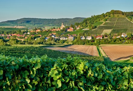 Ausblick auf Castell &copy; Steigerwald Tourismus / Florian Trykowski