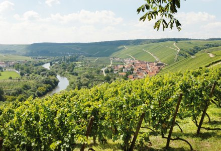 Weinberge und Mainschleife bei Escherndorf &copy; FrankenTourismus/FWL/Hub