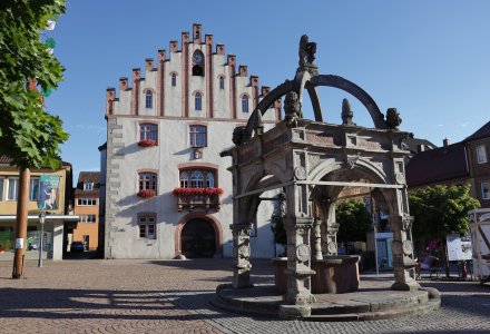 Hammelburg-  Älteste Weinstadt Frankens © Rhön GmbH