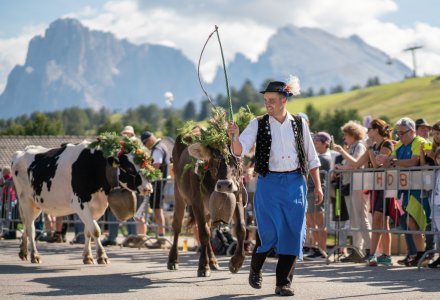 Almabtrieb Compatsch - Kastelruth © TV Seiser Alm/Fabian Dalpiaz