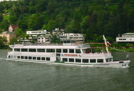 MS Heidelberg auf dem Neckar © RNF-GmbH
