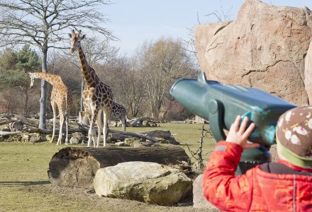 Zoo Leipzig - Giraffen auf der Savanne beobachten &copy; Zoo Leipzig