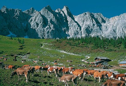 Engalm © www.engalm.at